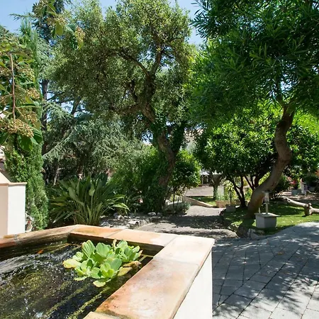 Daire Bd Des Hortensias Les Yuccas Sainte-Maxime